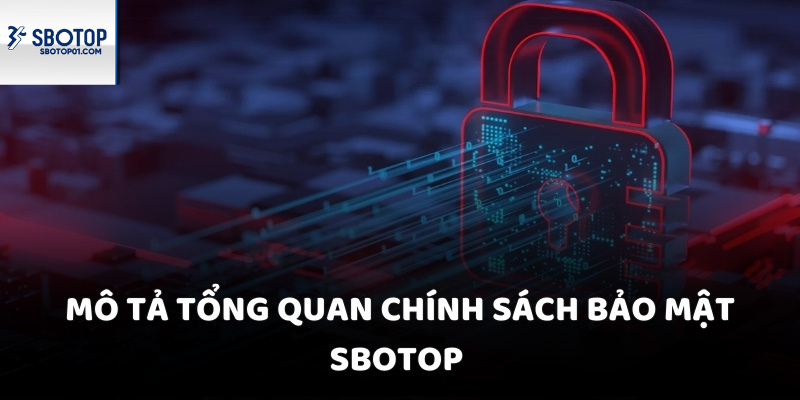 Tổng quan chính sách bảo mật Sbotop