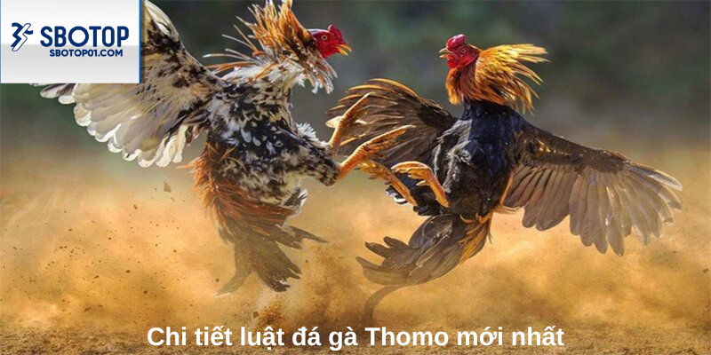 Chi tiết luật đá gà Thomo mới nhất