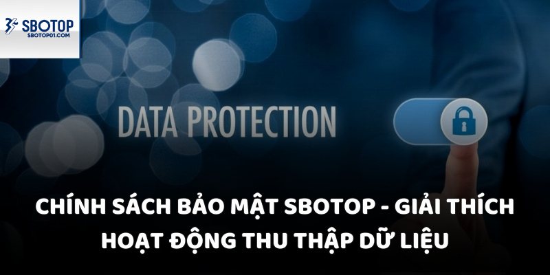 Chính sách bảo vệ thông tin bảo mật Sbotop