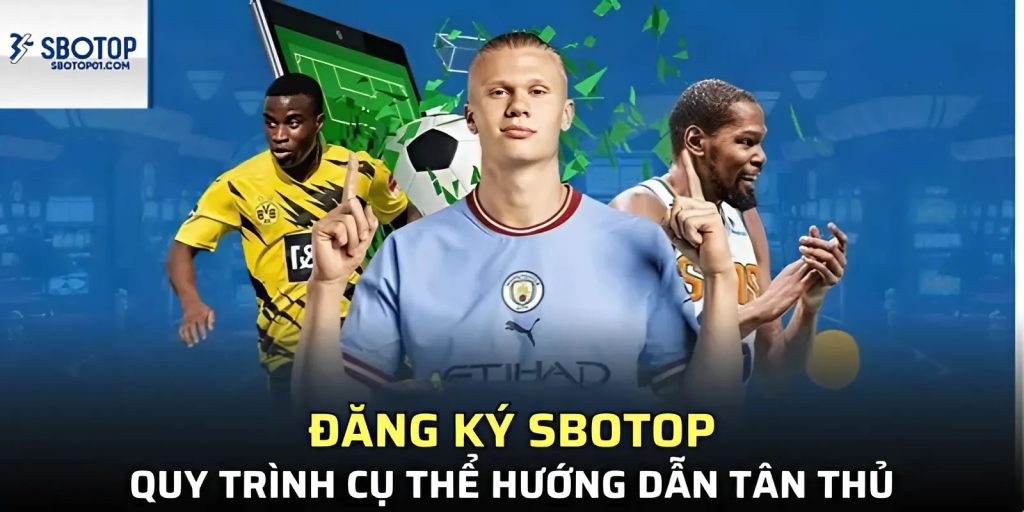 Đây là hướng dẫn chi tiết quy trình Đăng ký Sbotop